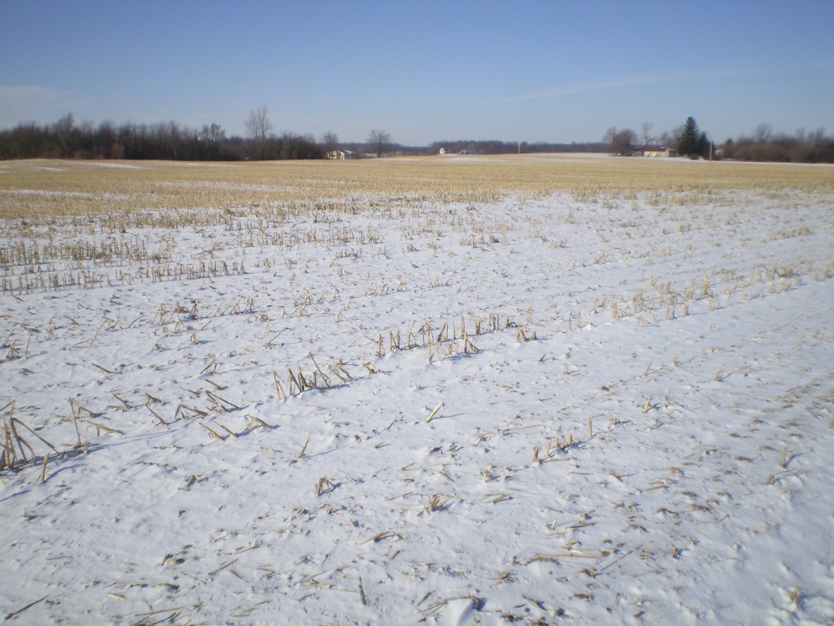 Property photo 5 - 76 Acres Offered in 4 Tracts